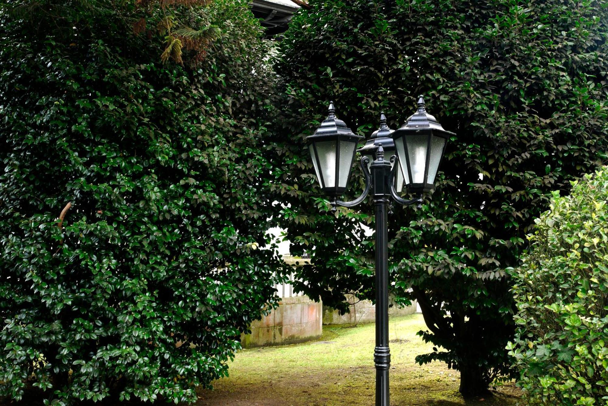 Hotel Y Apartamentos Arias Navia Exteriér fotografie